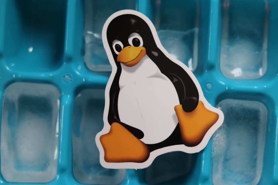 Popular Linux Distros