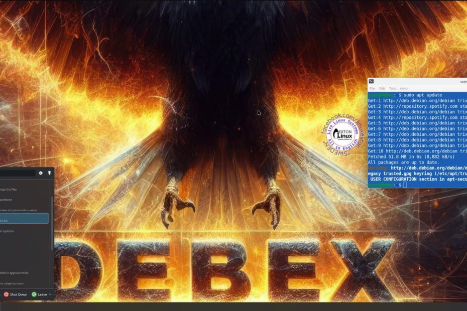 exton linux plasma desktop